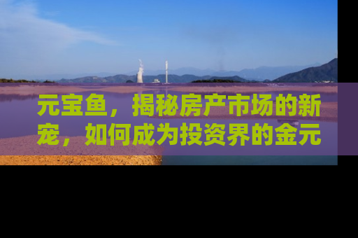 元宝鱼，揭秘房产市场的新宠，如何成为投资界的金元宝