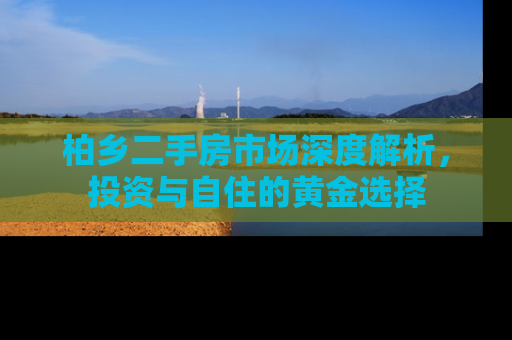 柏乡二手房市场深度解析，投资与自住的黄金选择