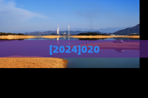 [2024]020