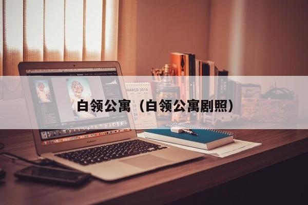 白领公寓（白领公寓剧照）