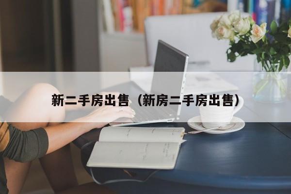 新二手房出售（新房二手房出售）